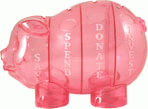 Pink MoneyWise Piggy Bank